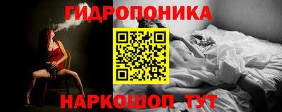 хмурый Тула