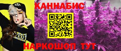 хмурый Тула