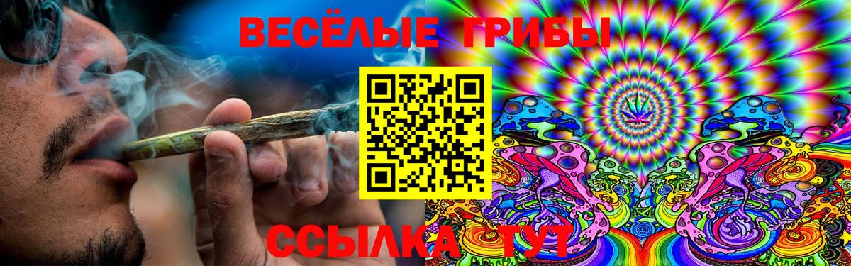 Галлюциногенные грибы Magic Shrooms  Галлюциногенные грибы прущие грибы  Вход с VPN  Новоалтайск 