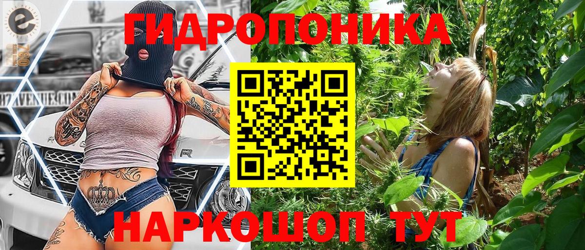 Бошки Шишки сатива  Бошки Шишки тримм  Новоалтайск  МАРИХУАНА SATIVA & INDICA  Вход с VPN 